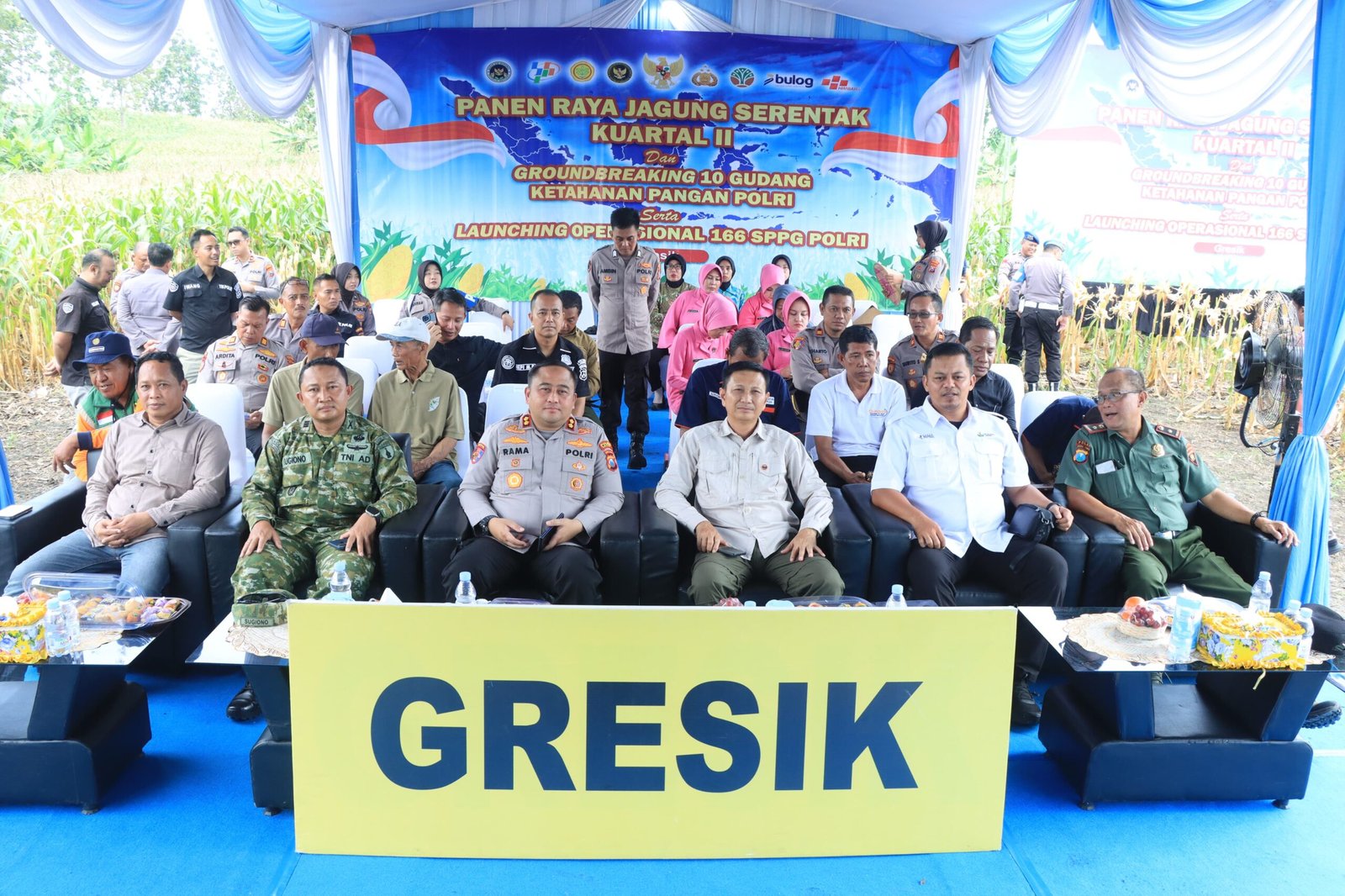 Dukung Ketahanan Pangan Nasional, Polres Gresik Sukses Panen Raya Jagung 80 Ton di Panceng dan Salurkan Bantuan untuk Petani