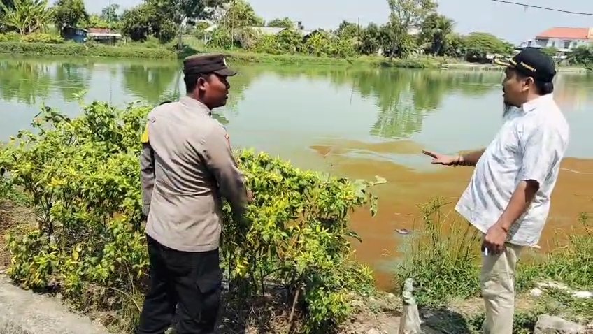 Kapolsek Sidayu Turun ke Sawah, Pantau Tanaman Cabai Demi Dukung Ketahanan Pangan Nasional