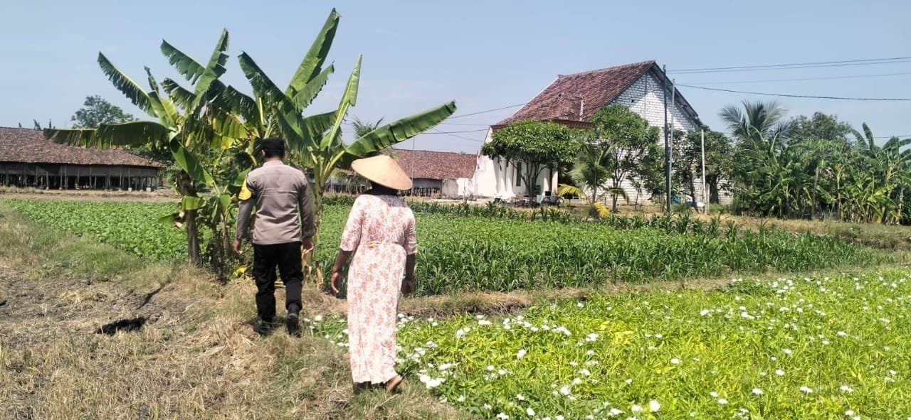Polsek Benjeng Berdialog dan Motivasi Petani Kangkung Demi Dongkrak Produktivitas Pertanian
