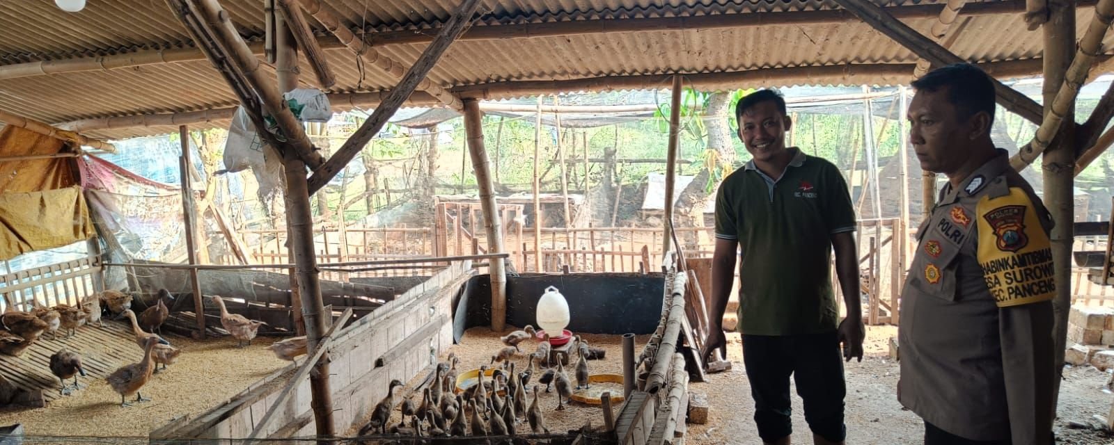 Bhabinkamtibmas Polsek Panceng Pantau Peternakan Bebek Warga, Dukung Ketahanan Pangan Nasional