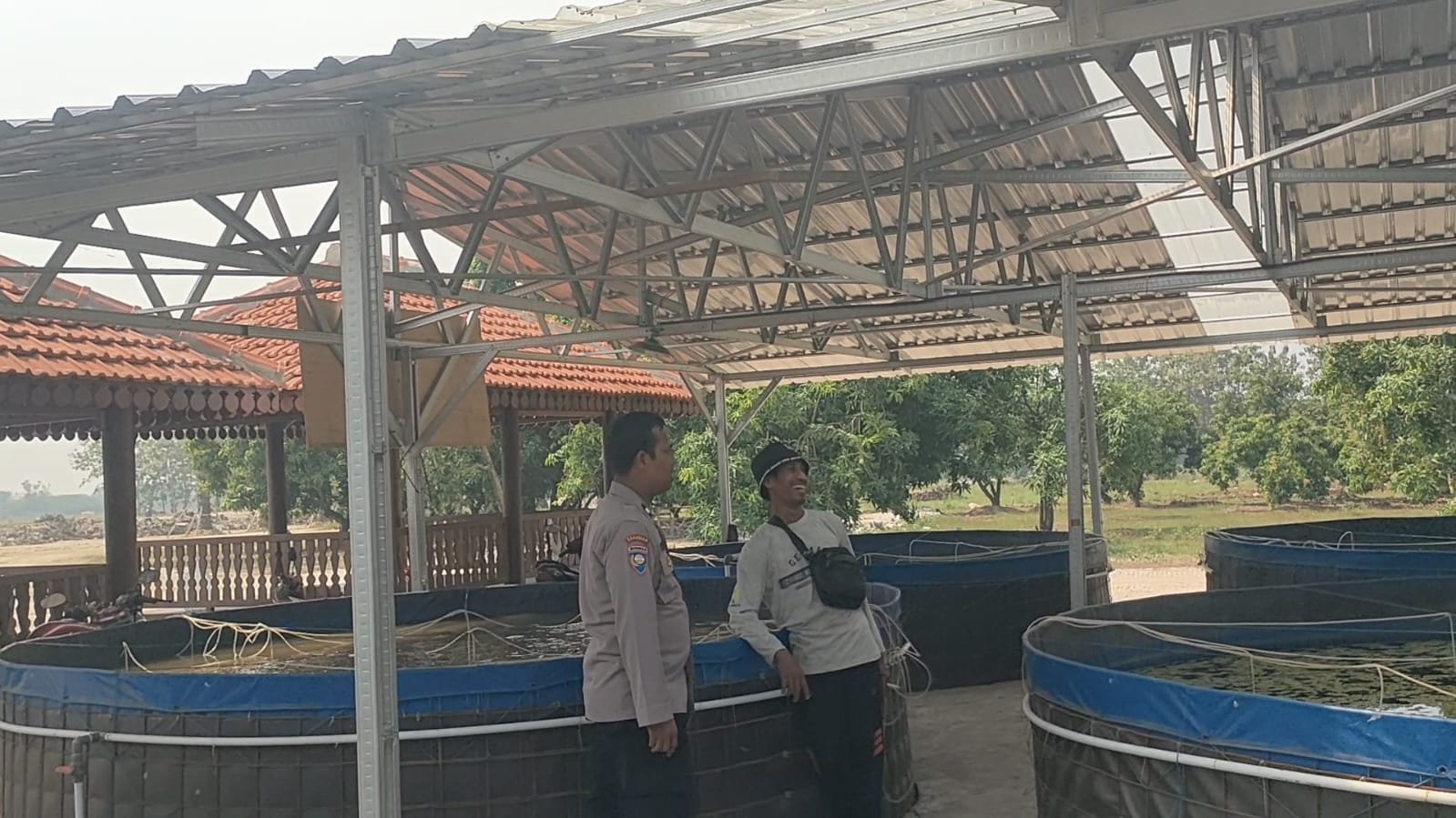Pastikan Budidaya Lele Berjalan Optimal, Polsek Sidayu Turun Langsung ke Lapangan