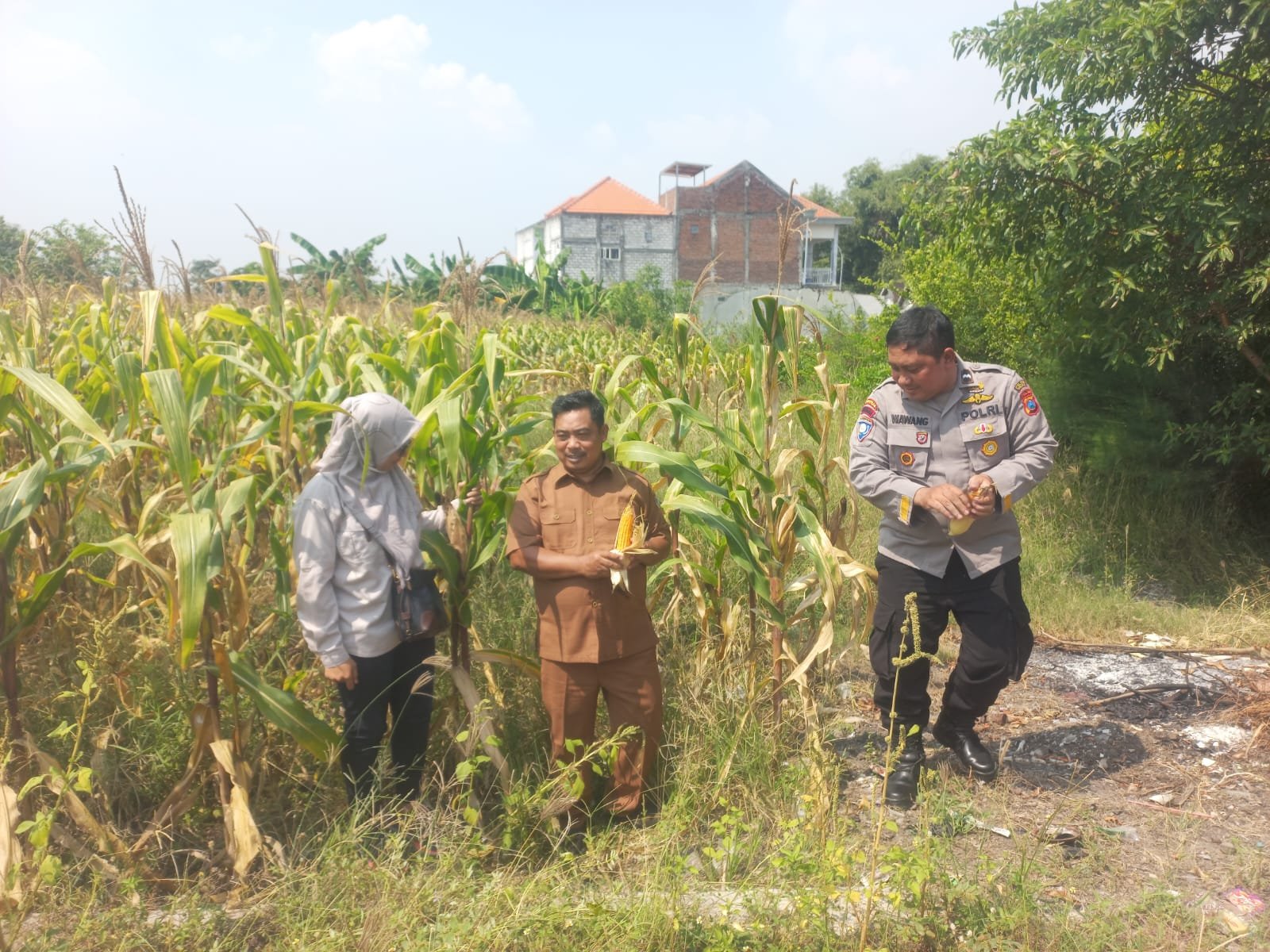 Dukung Swasembada Pangan Presiden, Polres Gresik Pantau Lahan Jagung di Cerme