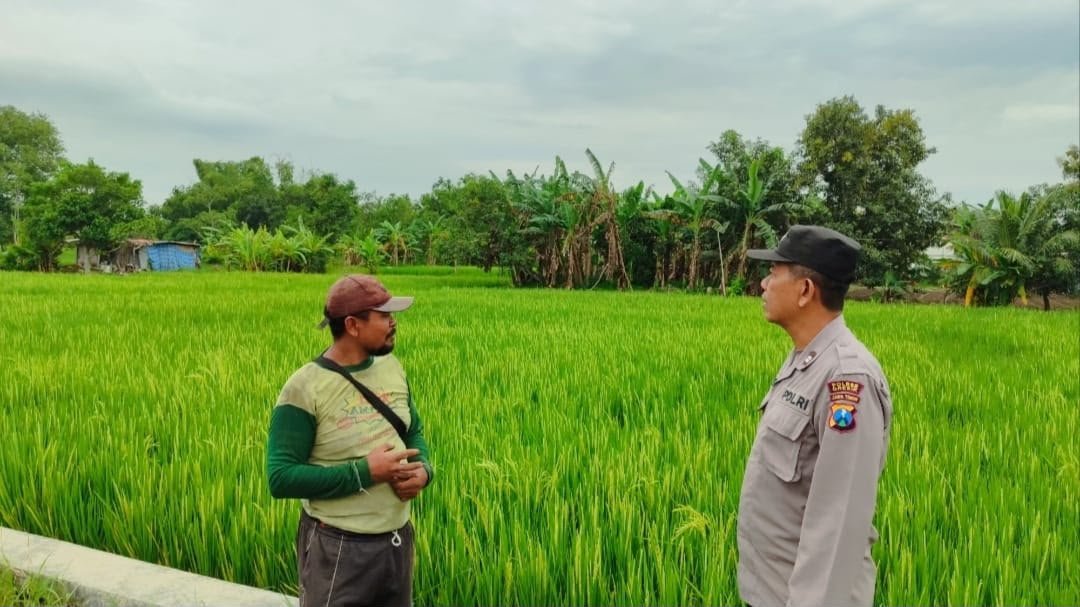 Lewat Pendampingan Petani, Polres Gresik Perkuat Upaya Swasembada Pangan Nasional