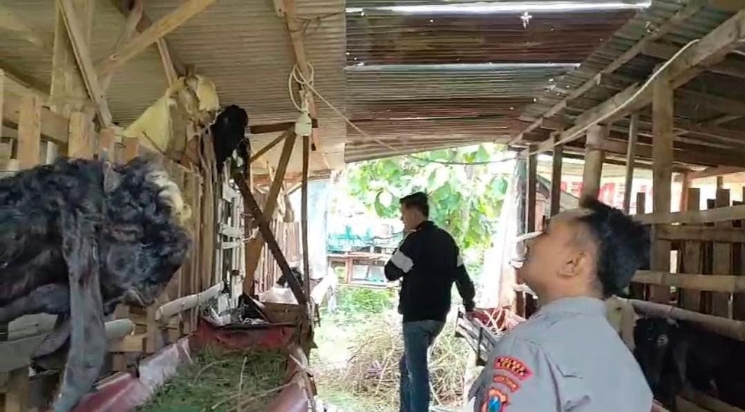 Polres Gresik Intensif Kawal Peternakan Kambing sebagai Penopang Ketahanan Pangan