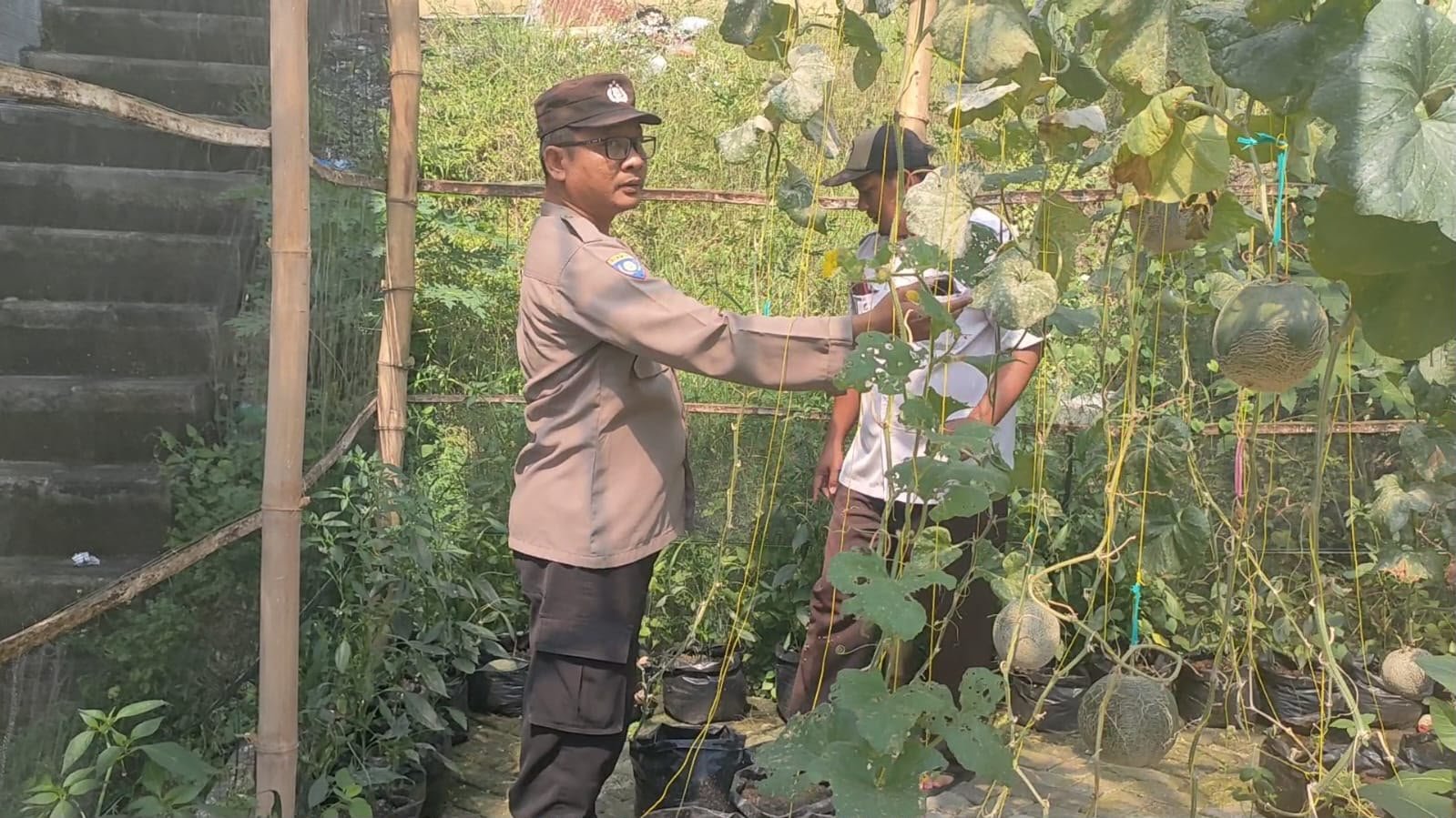 Tingkatkan Produktivitas Pertanian, Polsek Sidayu Siap Mendampingi Petani Lokal