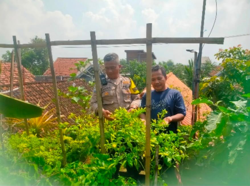 Sinergi Polri dan Petani: Polsek Dukun Serap Aspirasi Petani Cabai Desa Babakbawo