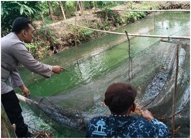 Budidaya Lele Jadi Fokus, Polsek Benjeng Dukung Ketahanan Pangan dari Tingkat Desa