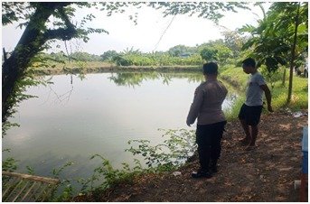 Perkuat Ketahanan Pangan Nasional, Polsek Kedamean Pantau Budidaya Ikan Nila dan Jaer