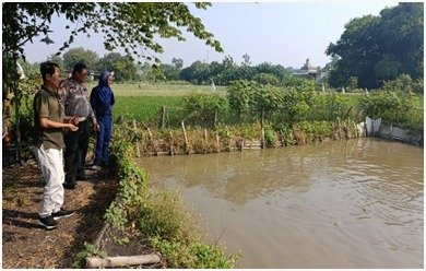 Kawal Ketahanan Pangan Nasional, Polsek Driyorejo Turun Langsung Cek Kolam Nila Desa Tanjungan