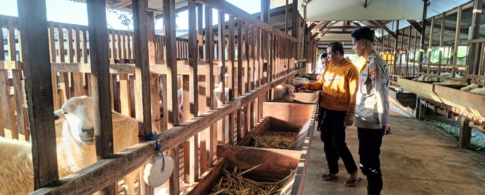 Polri Hadir untuk Peternak, Polsek Panceng Cek Kandang Kambing dan Serap Aspirasi Warga