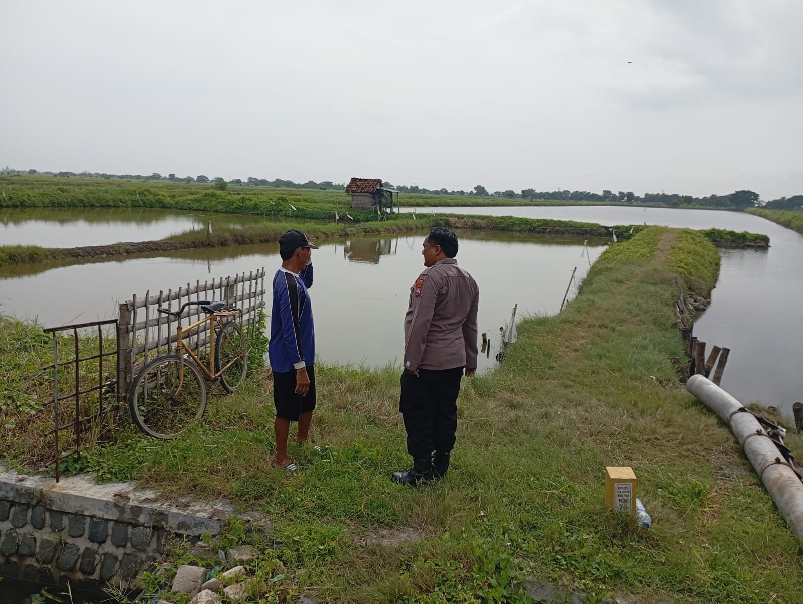 Polres Gresik Konsisten Dukung Ketahanan Pangan, Tambak Ikan Duduksampeyan Jadi Sasaran Monitoring