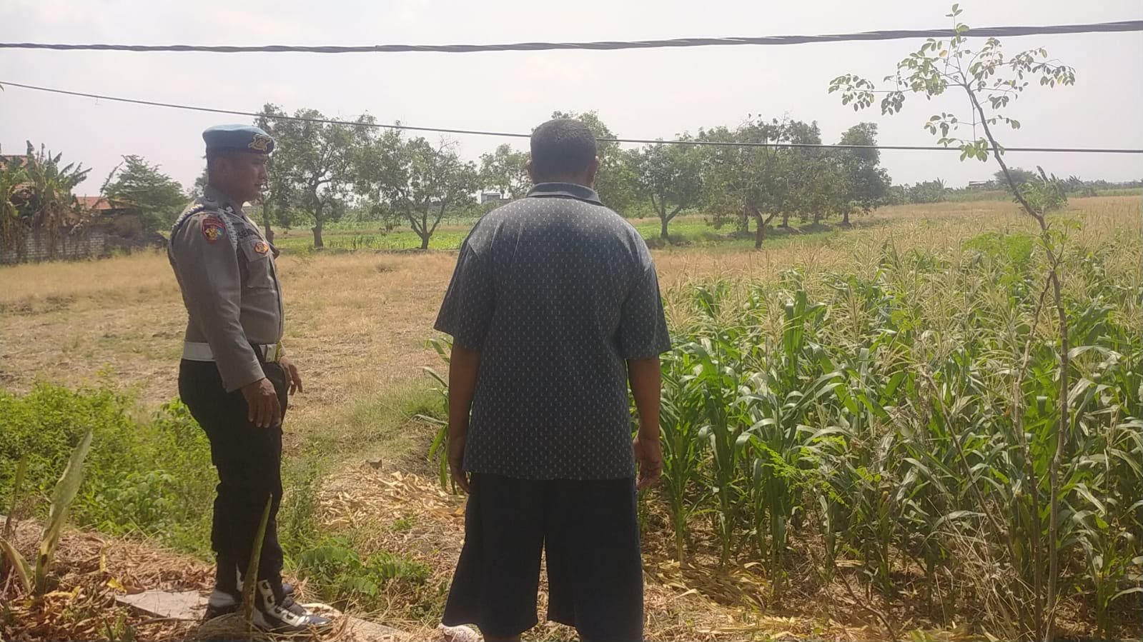 Wujudkan Swasembada Pangan, Polsek Balongpanggang Intensif Pantau Lahan Jagung