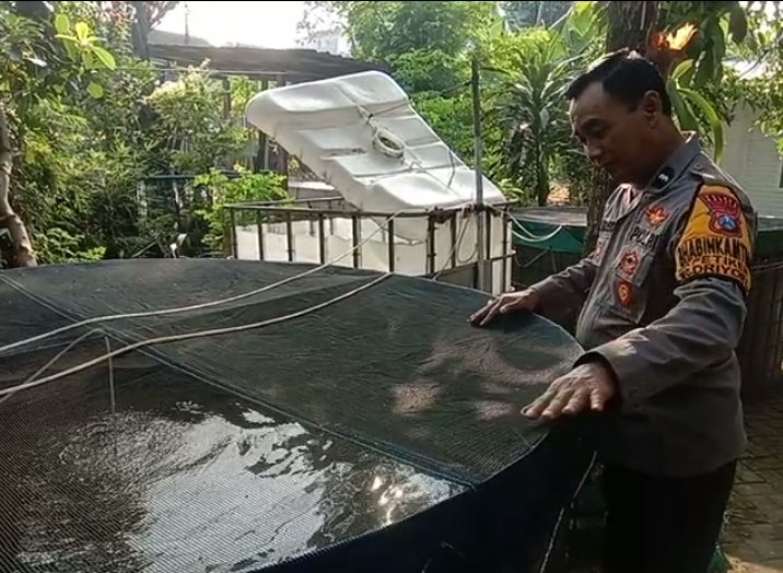 Budidaya Ikan Lele di Petiken Dipantau Polisi, Dorong Ketersediaan Pangan dan Ekonomi Warga