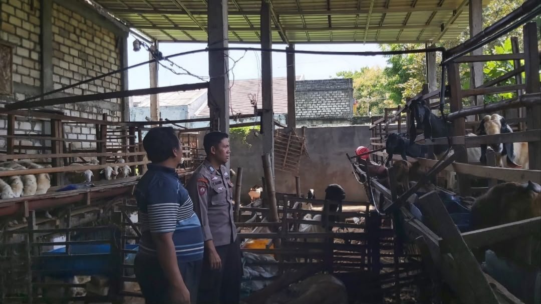 Sambang Peternak, Polsek Bungah Pastikan Pengelolaan Ternak Kambing Optimal