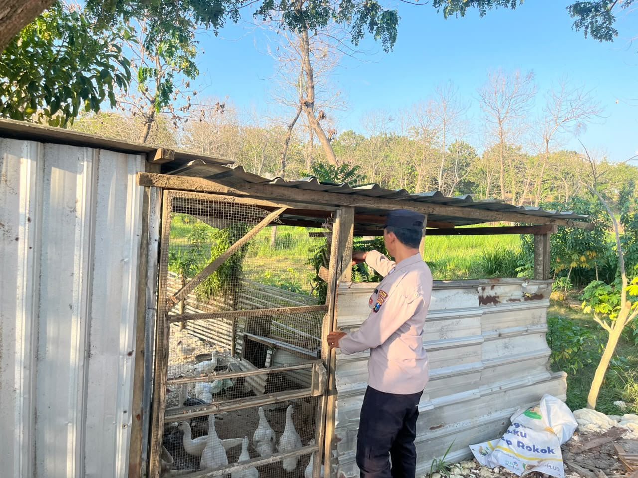 Cek Kandang dan Kondisi Ternak, Polsek Panceng Dukung Swasembada Pangan
