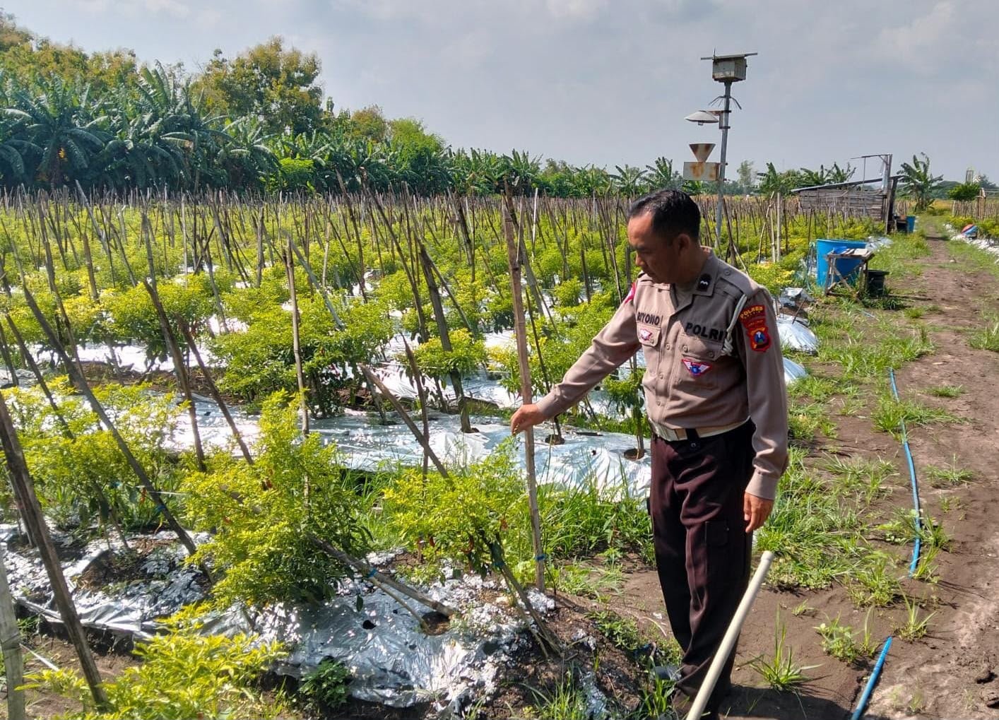 Dukung Kemandirian Pangan, Polsek Kawasan Pelabuhan Optimalkan Potensi Perikanan Lokal